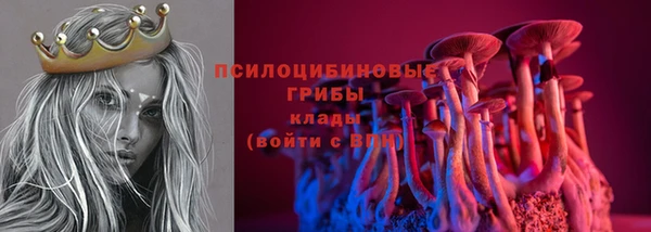 гашик Майский