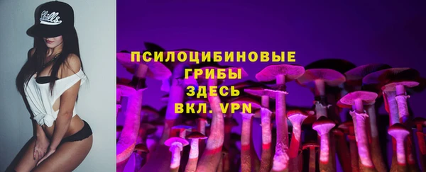 гашик Майский