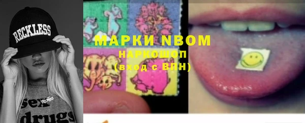 гашик Майский
